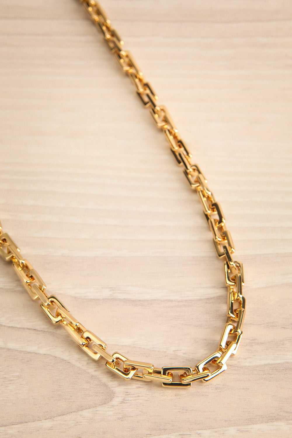 Pegeia Gold Cable Chain Necklace | La petite garçonne flat view