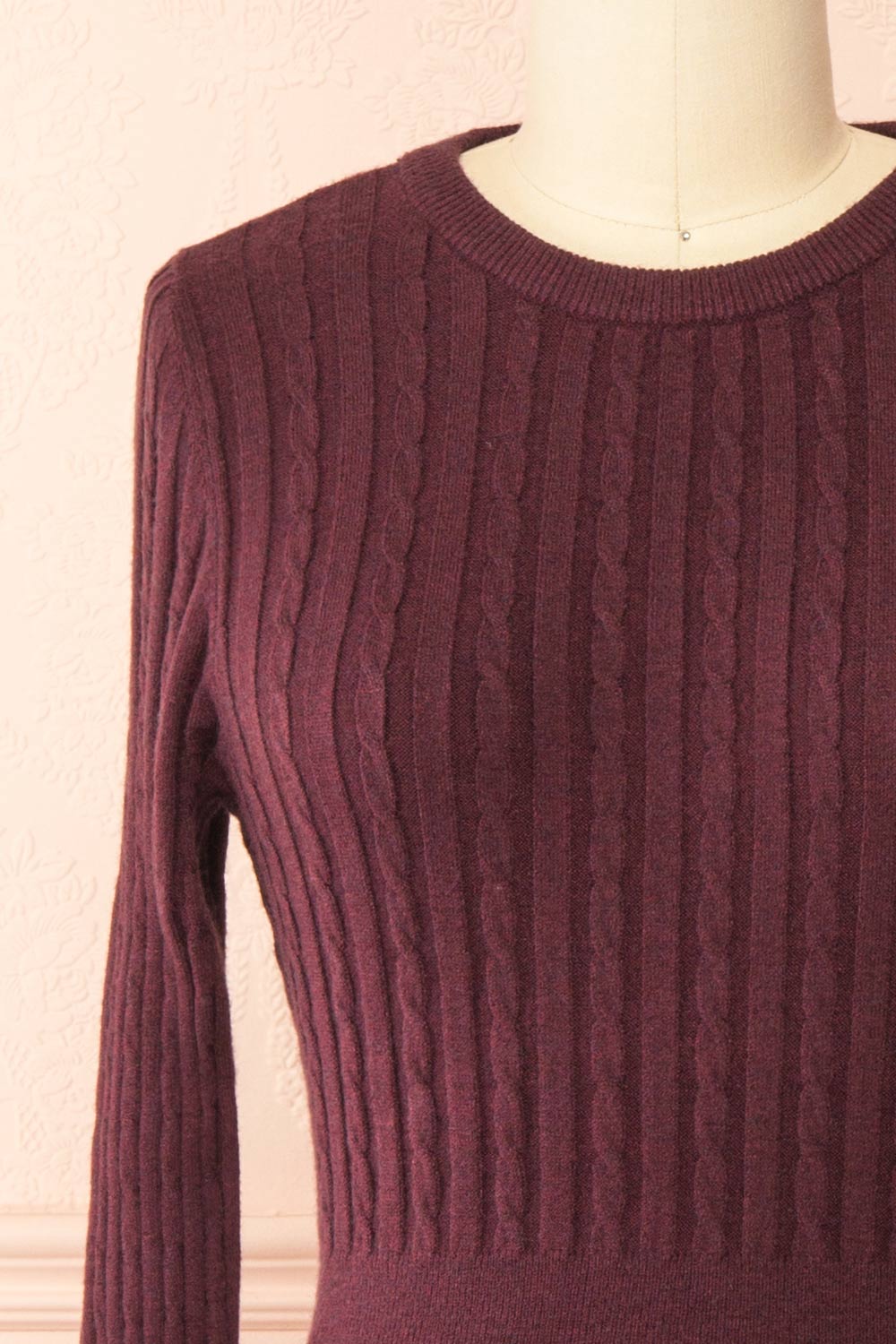 Pertina Burgundy Short Knit Dress with Long Sleeves | Boutique 1861  front