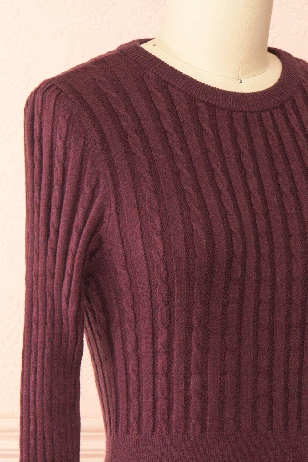 Pertina Burgundy Short Knit Dress with Long Sleeves | Boutique 1861  side 