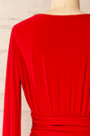 Pessac Red Fitted Midi Dress w/ Long Sleeves | La petite garçonne back close-up