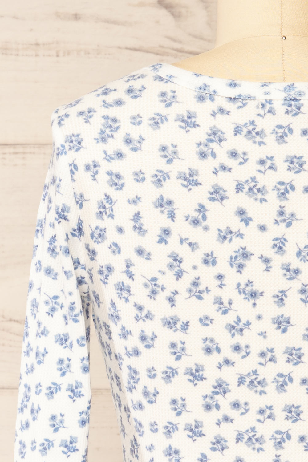 Pesza Long-Sleeved Blue Floral Top | La petite garçonne back