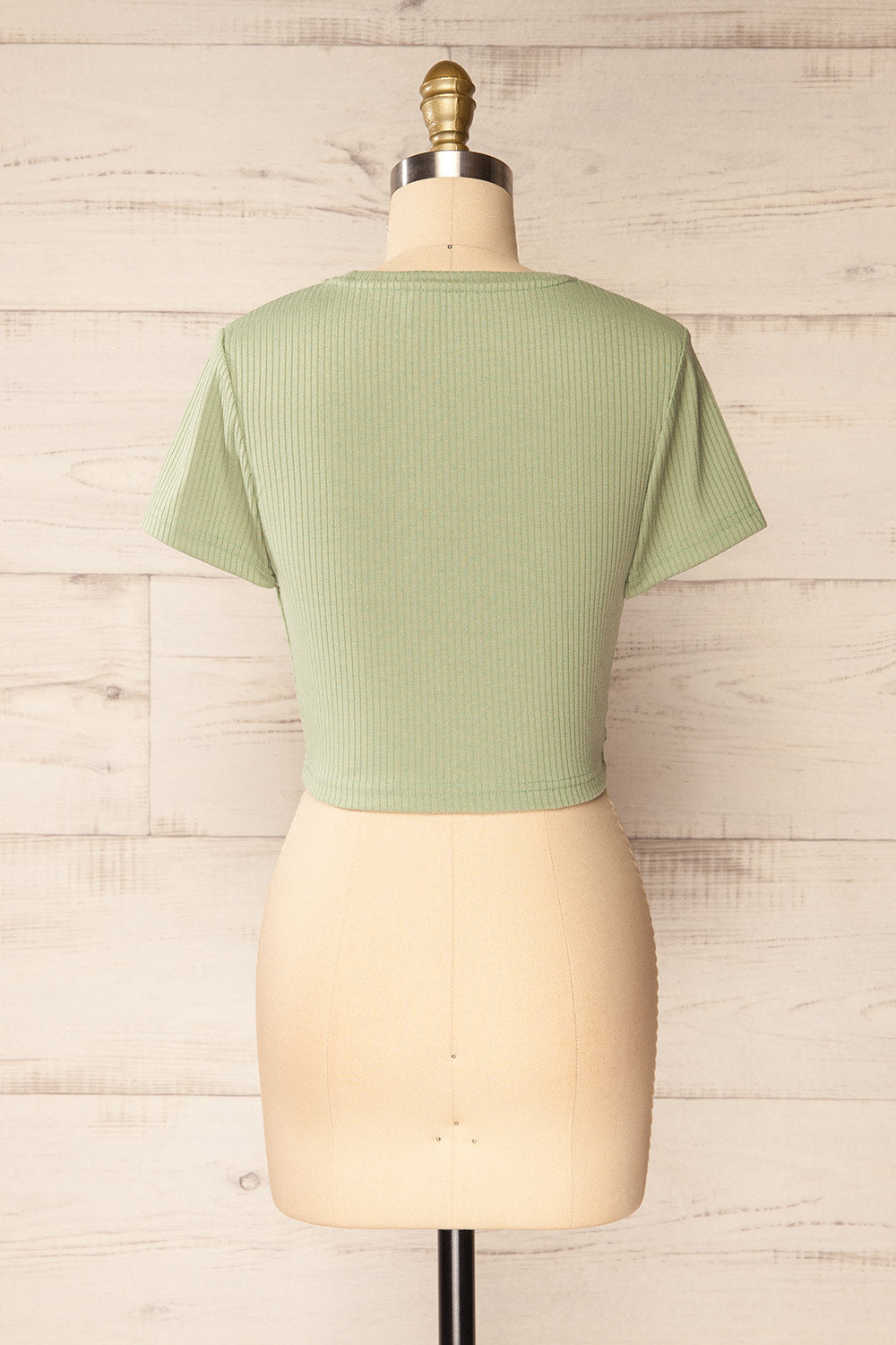 Roanne Sage Ribbed Cross Front Crop Top | La petite garçonne back view