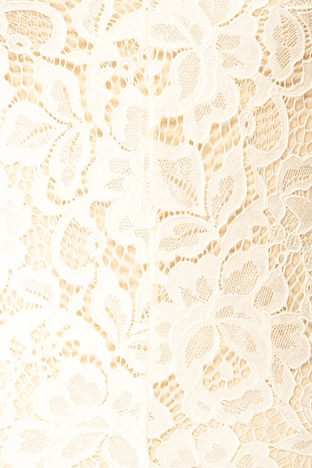 Rokia Sheer Fitted Ivory Lace Top with V Neck | Boudoir 1861 fabric 