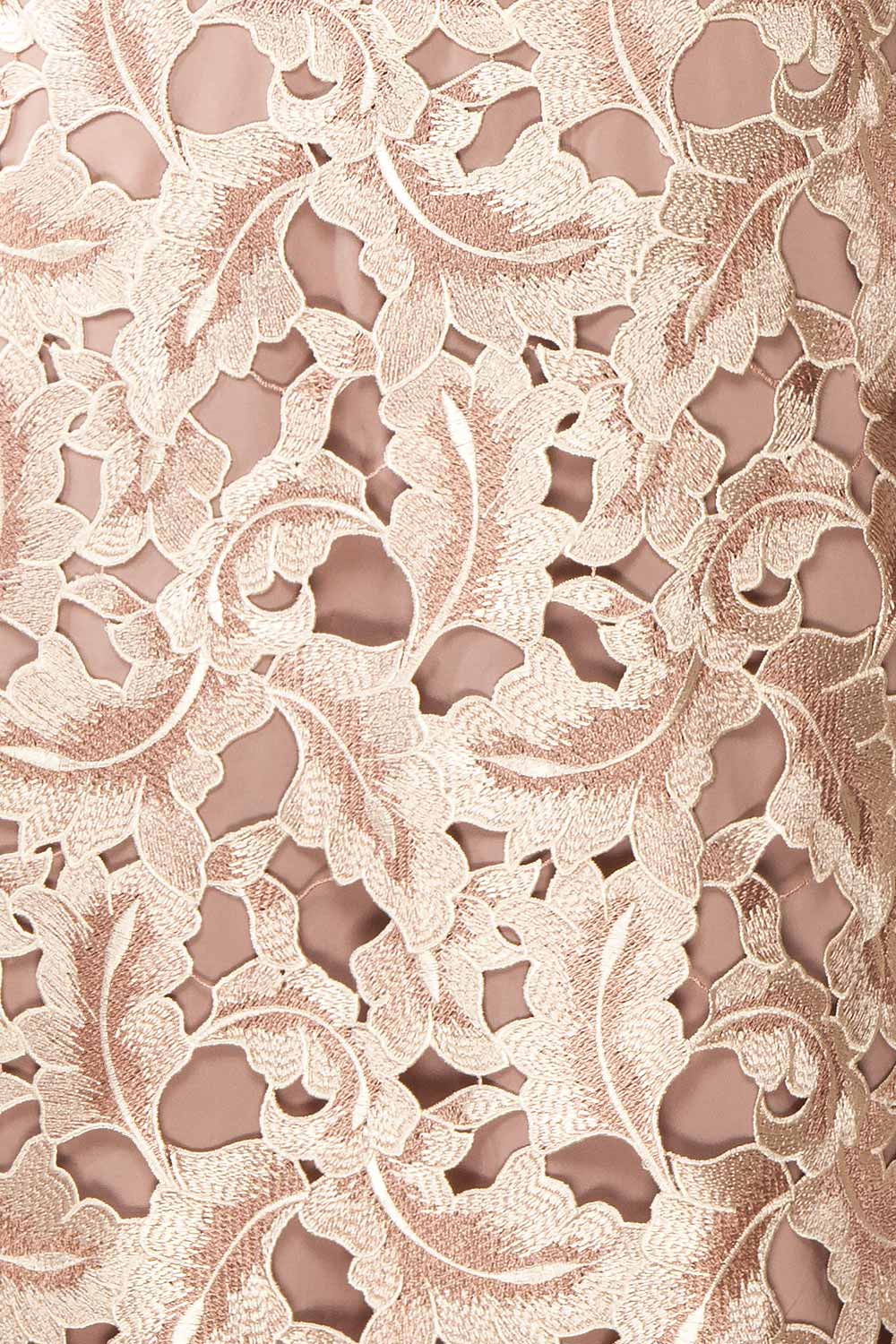 Rolande Midi Taupe Openwork Lace Dress | Boutique 1861 texture