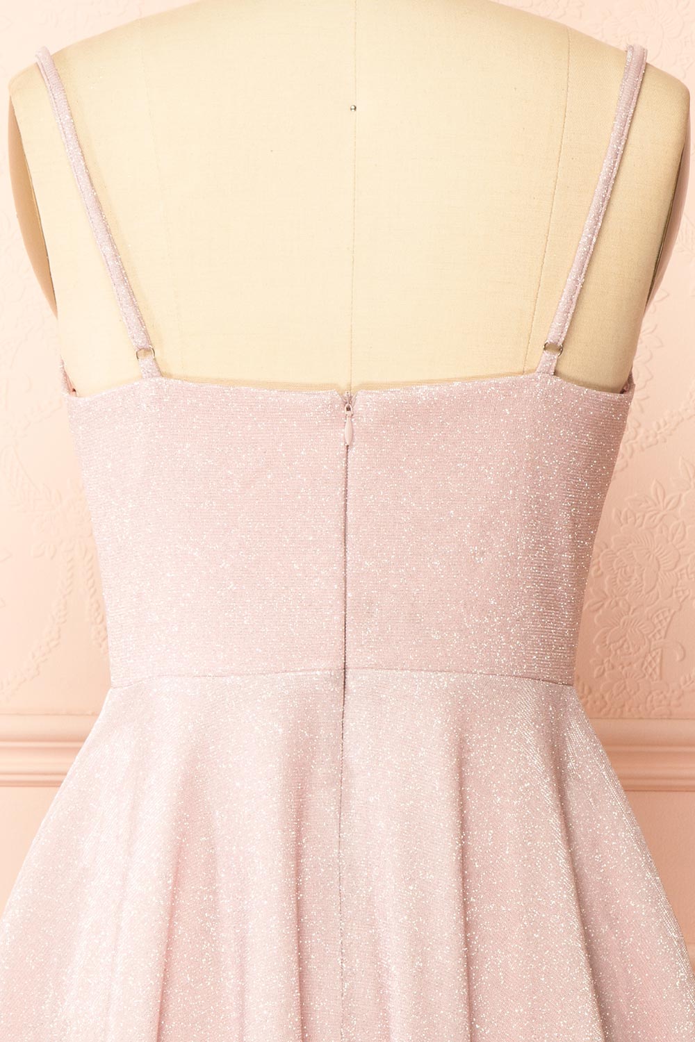 Rowyn Blush Short Sparkly Dress with Pockets | Boutique 1861 back view
