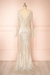 Roxy Champagne Sequins Long-Sleeved Maxi Dress | Boutique 1861  back view