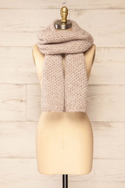 Samsun Taupe Thick Soft Knit Scarf | La petite garçonne front view