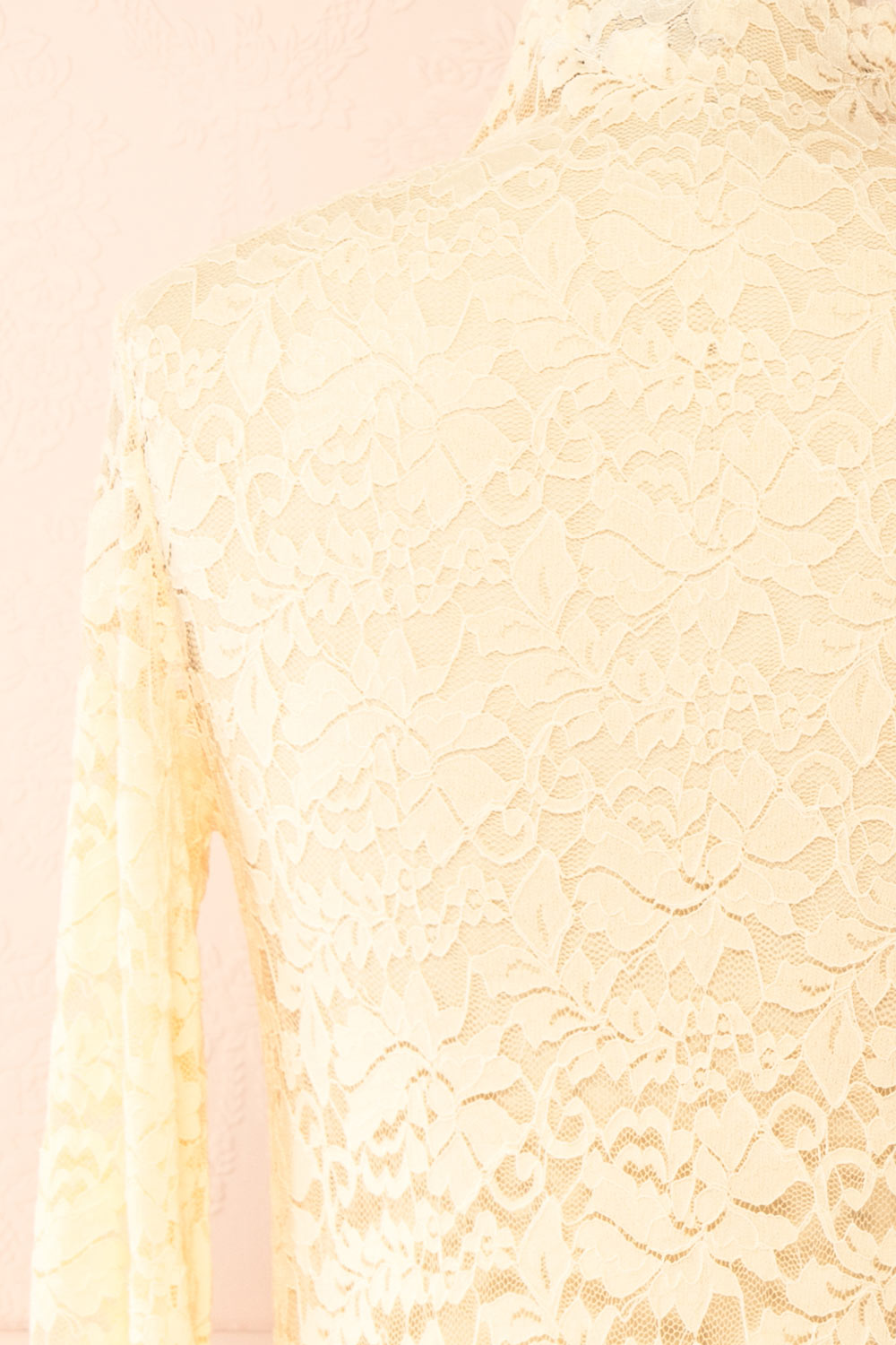Sarida Beige Sheer Fitted Lace Top | Boutique 1861 back
