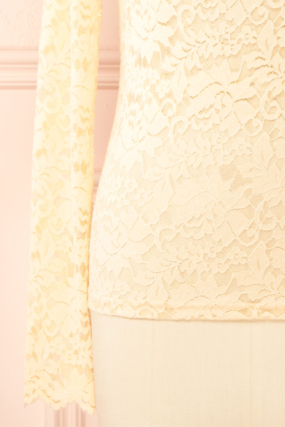 Sarida Beige Sheer Fitted Lace Top | Boutique 1861 sleeve 