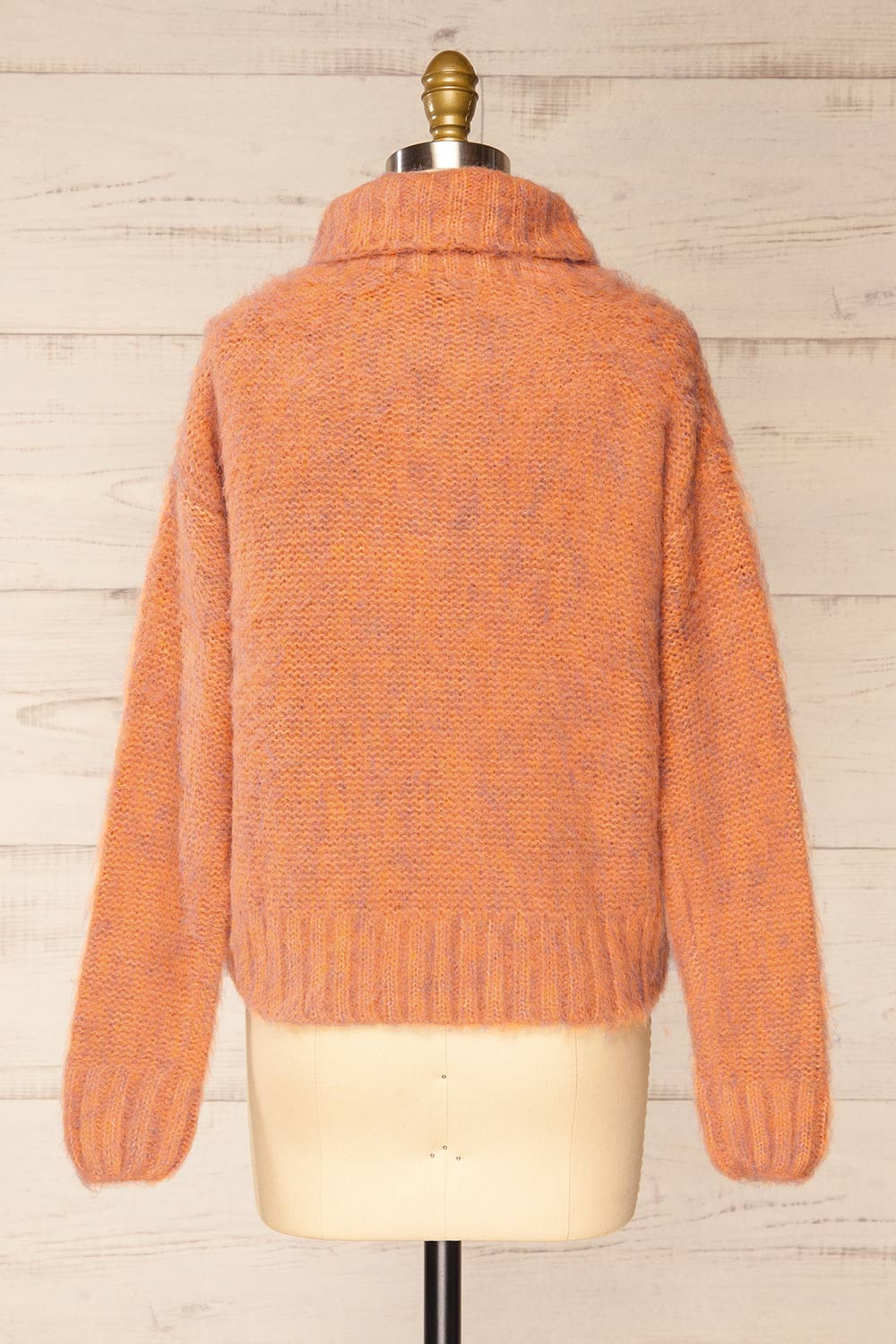 Seattle Rust Fuzzy Knit Turtleneck Sweater | La petite garçonne back view