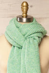 Sunderland Green Soft Knit Scarf | La petite garçonne middle