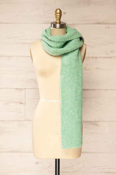 Sunderland Green Soft Knit Scarf | La petite garçonne long view