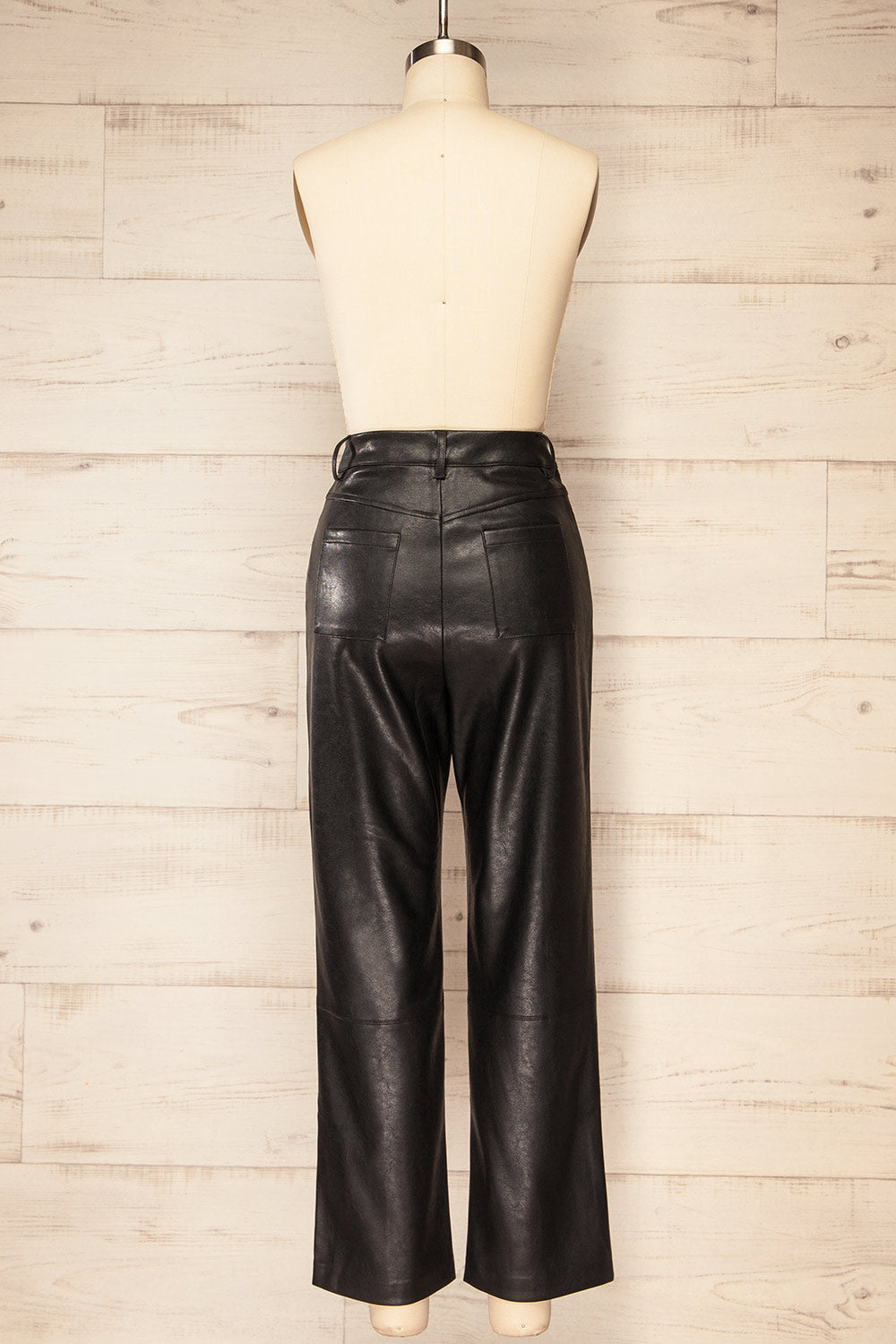 Transylvania Black Faux-Leather Pants | La petite garçonne  back view