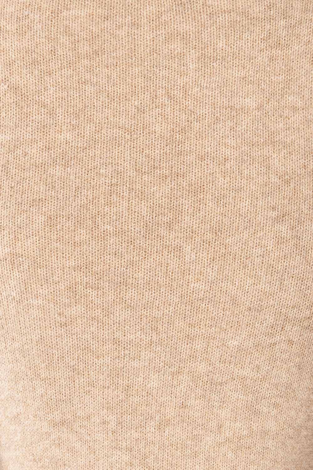 Tumut Taupe Short Turtleneck Sweater | La petite garçonne texture
