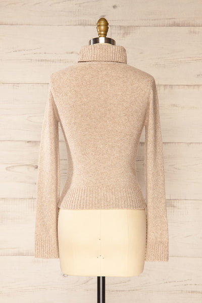 Tumut Taupe Short Turtleneck Sweater | La petite garçonne back view