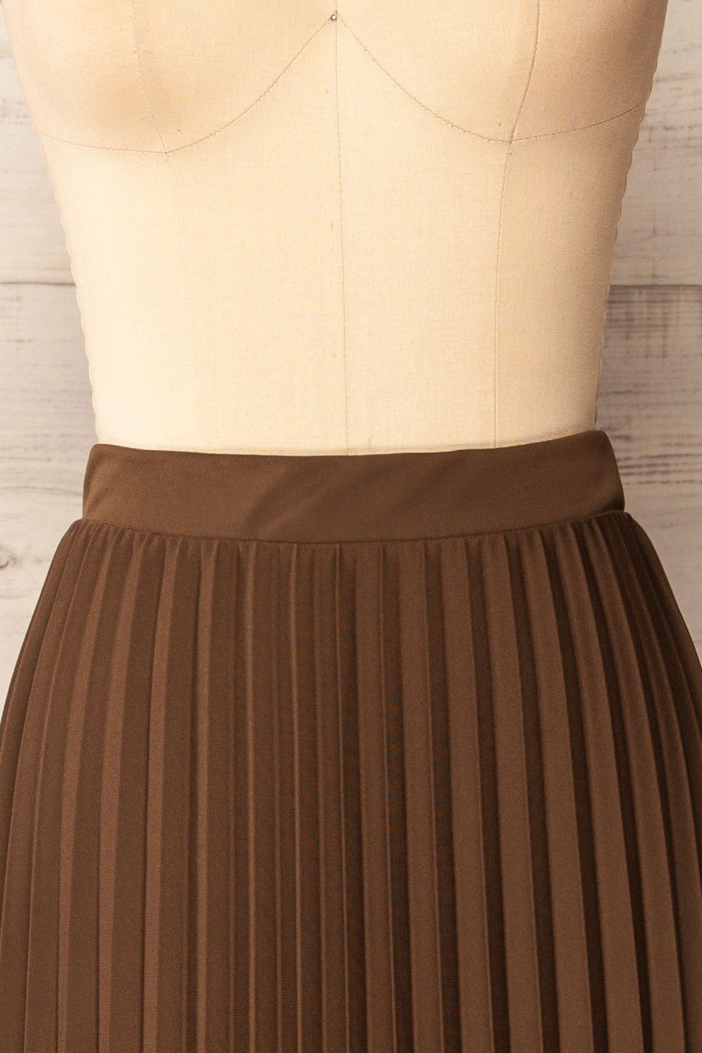Vaduz Brown Pleated Maxi Skirt | La petite garçonne front close-up