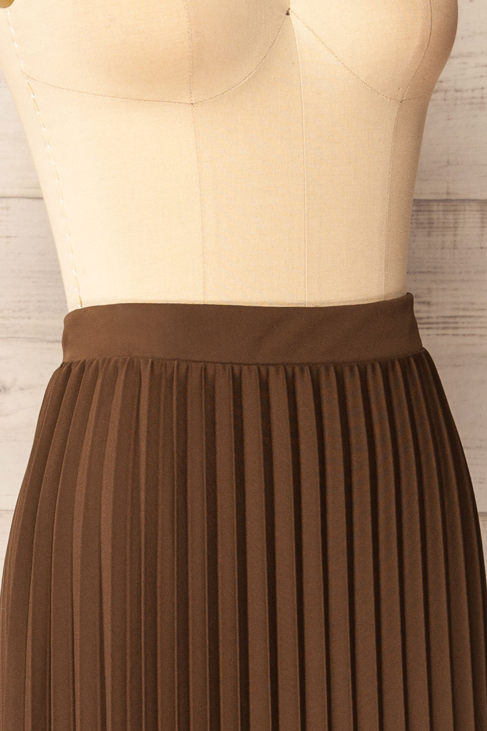 Vaduz Brown Pleated Maxi Skirt | La petite garçonne side close-up