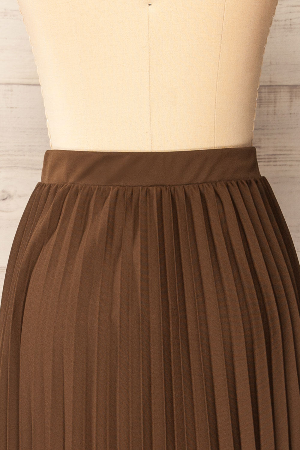 Vaduz Brown Pleated Maxi Skirt | La petite garçonne back close-up