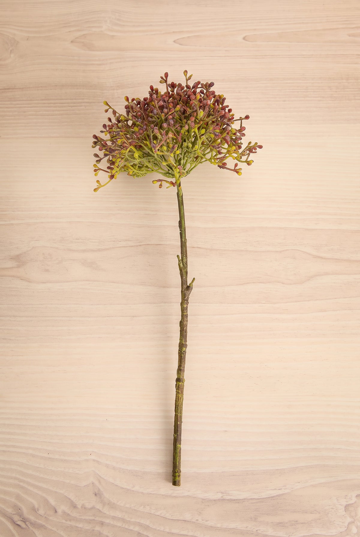 A single artificial viburnum berry stem, pink flower stem with a round cluster of small brown and muted green blossoms, placed vertically on a light wood grain surface at la maison garçonne in montreal.