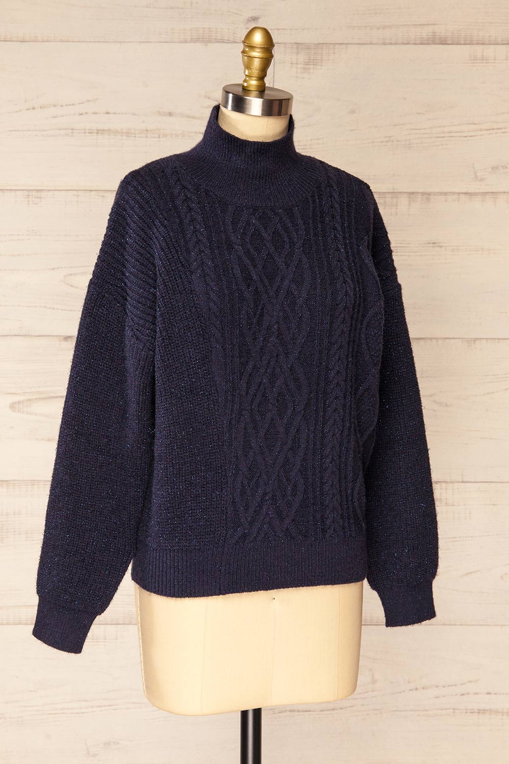 Waterbury Sparkling Navy Turtleneck Sweater | La petite garçonne side view