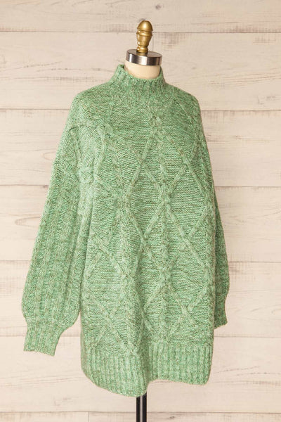 Wilfric Sage Oversized Thick Knit Sweater | La petite garçonne  side view