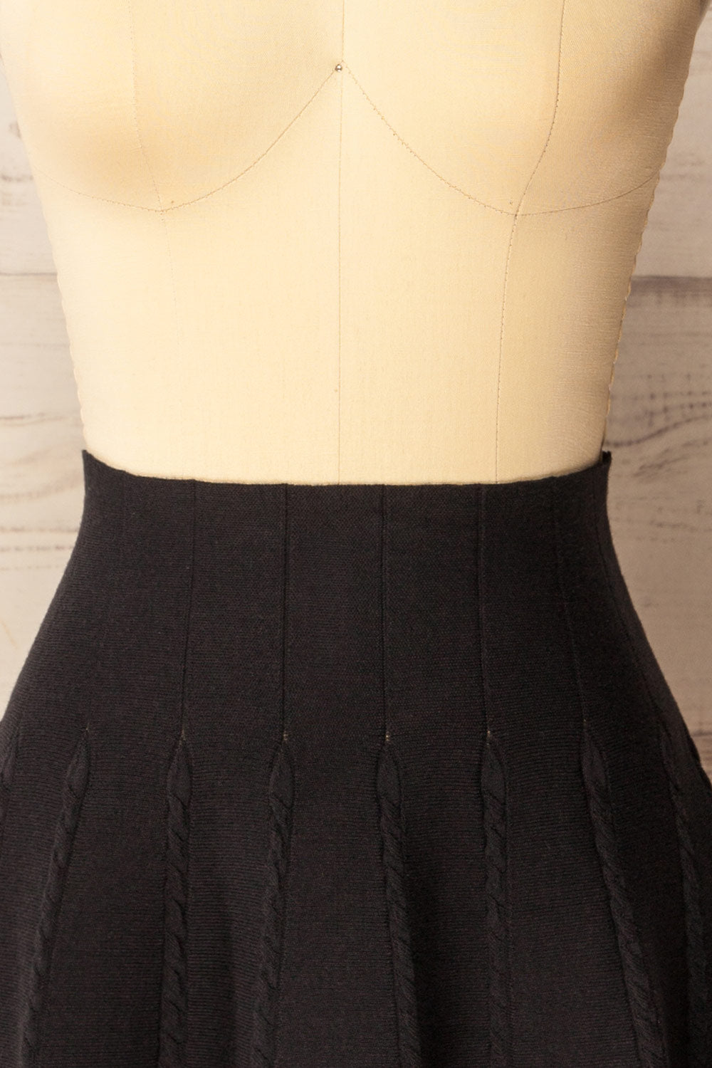 Yakima Black High-Waisted A-Line Skirt | La petite garçonne front