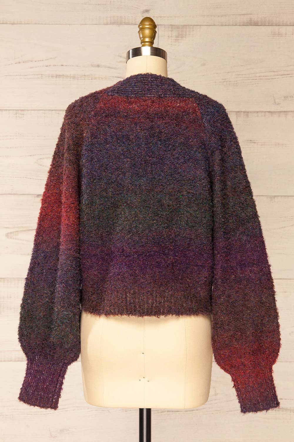 Zadigg Multicoloured Cardigan w/ Red Buttons | La petite garçonne back view