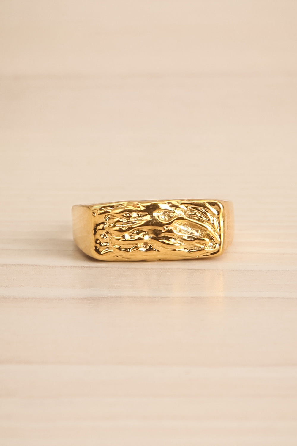 Zelos Gold Gold-Plated Industrial Ring | La petite garçonne flat close-up