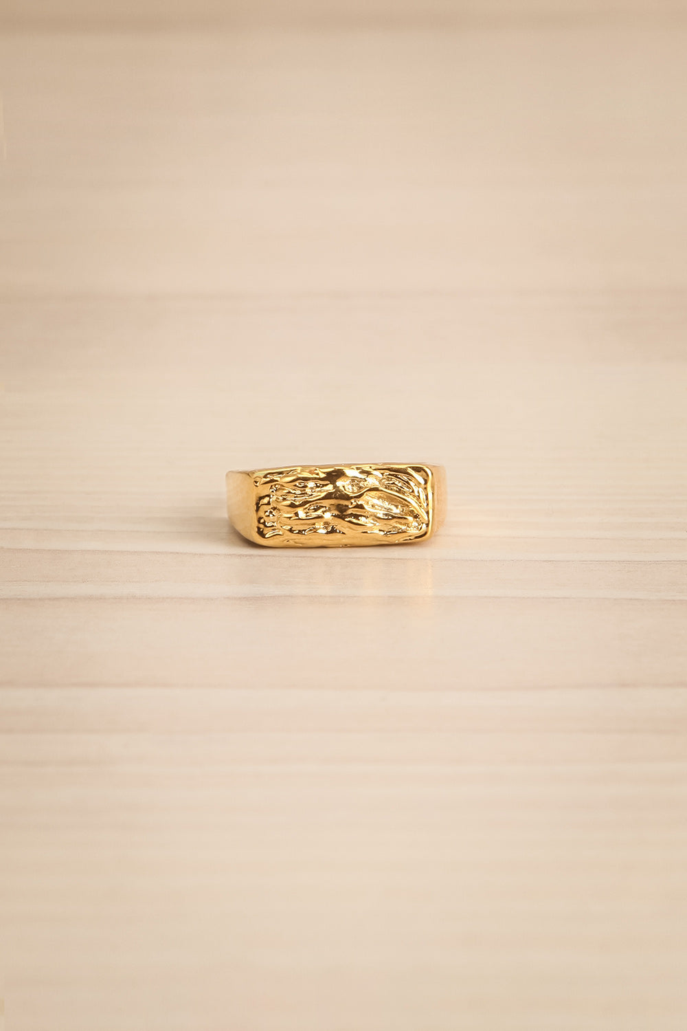 Zelos Gold Gold-Plated Industrial Ring | La petite garçonne flat view