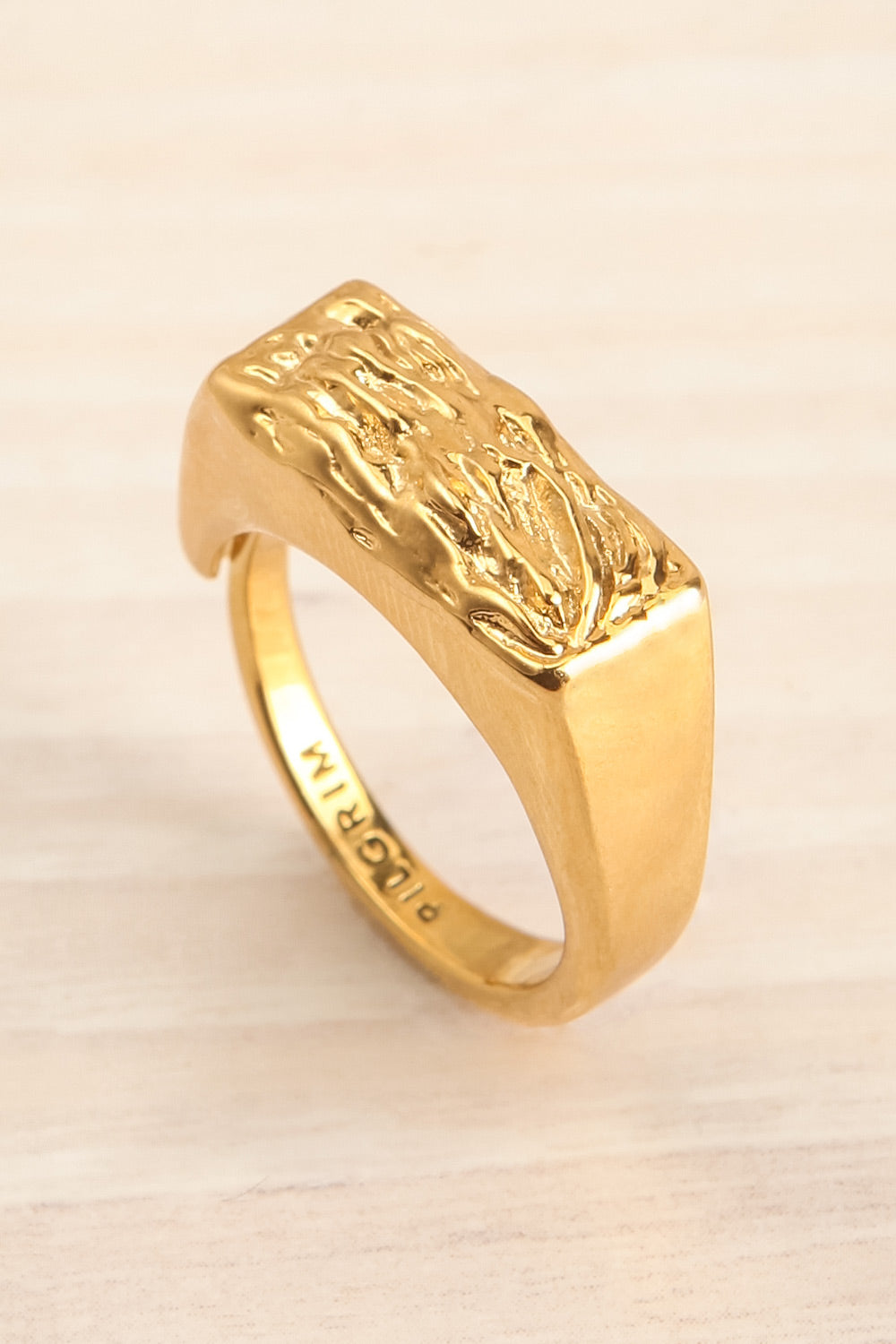 Zelos Gold Gold-Plated Industrial Ring | La petite garçonne close-up