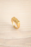 Zelos Gold Gold-Plated Industrial Ring | La petite garçonne