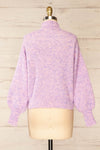Zurich Pink & Blue Knit Turtleneck Sweater | La petite garçonne back view