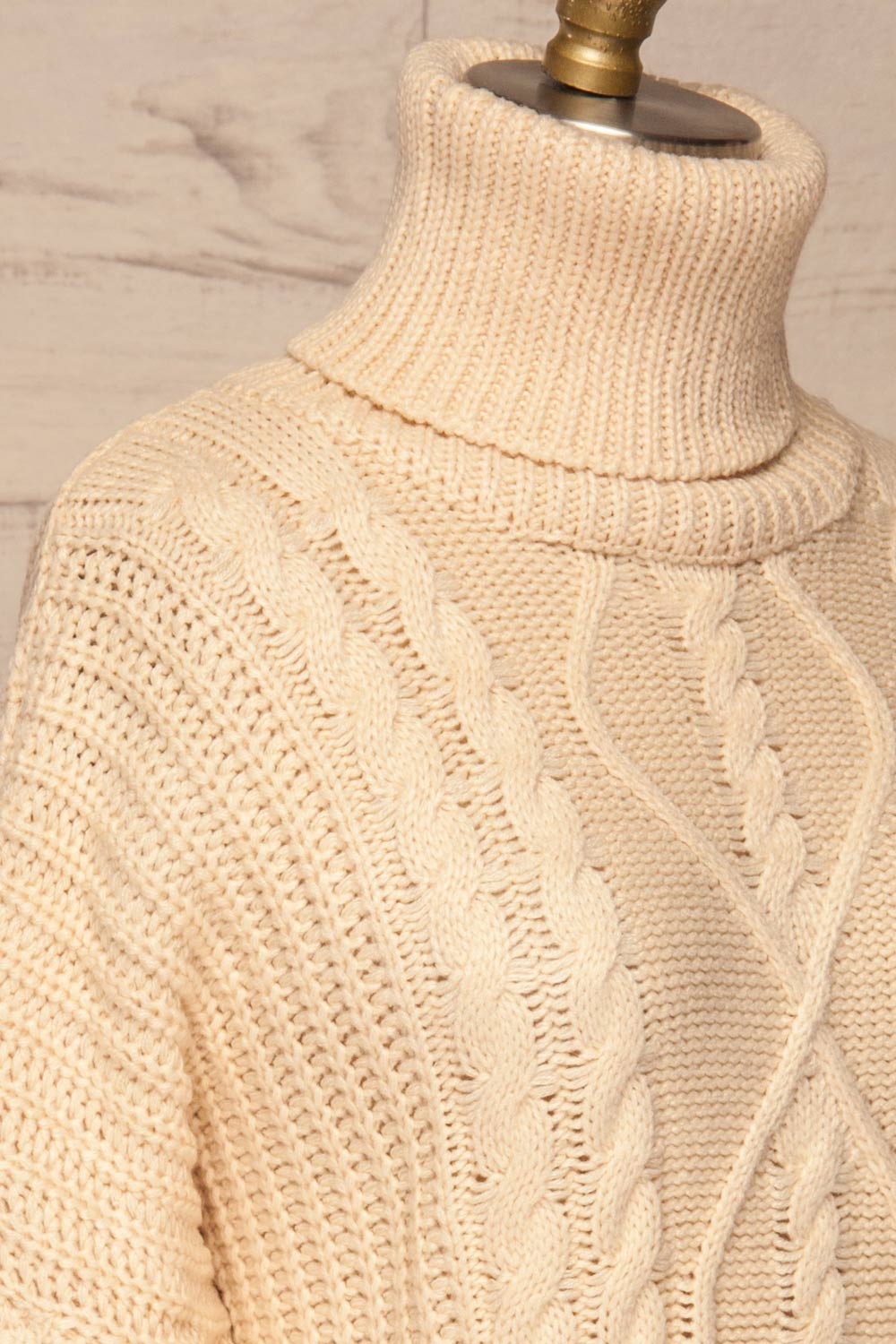 Abzac Ivory Turtleneck Sweater