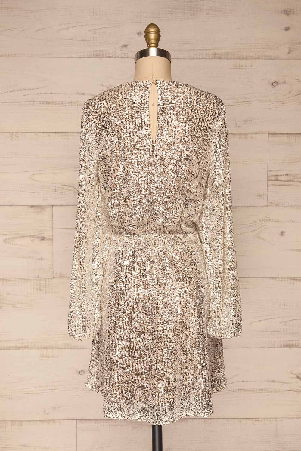 Adelfia Silver Sequin Dress | Robe | La Petite Garçonne back view 