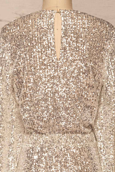 Adelfia Silver Sequin Dress | Robe | La Petite Garçonne back close-up