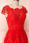 Andela Red Lace A-Line Cocktail Dress | Boutique 1861 4