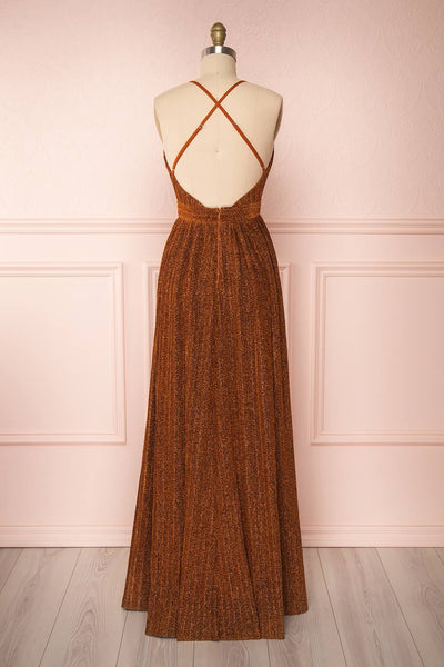 Arnemande Rust Pleated Gown w/ Glitters back view | Boutique 1861