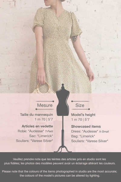 Audesse Green & White Short Sleeve Midi Dress | Boutique 1861 template