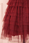 Ayten Passion Burgundy Floral Tulle A-Line Dress | Boutique 1861 8