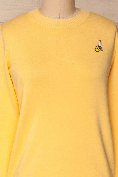 Bananah Yellow Embroidered Knit Sweater | La Petite Garçonne 4