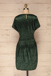 Blace Emerald Short Sleeve Satin Dress | La petite garçonne back view