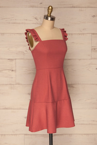 Carazon Pink A-Line Short Dress | La petite garçonne side view
