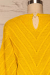 Ceprano Yellow Knitted Sweater | La petite garçonne back close up
