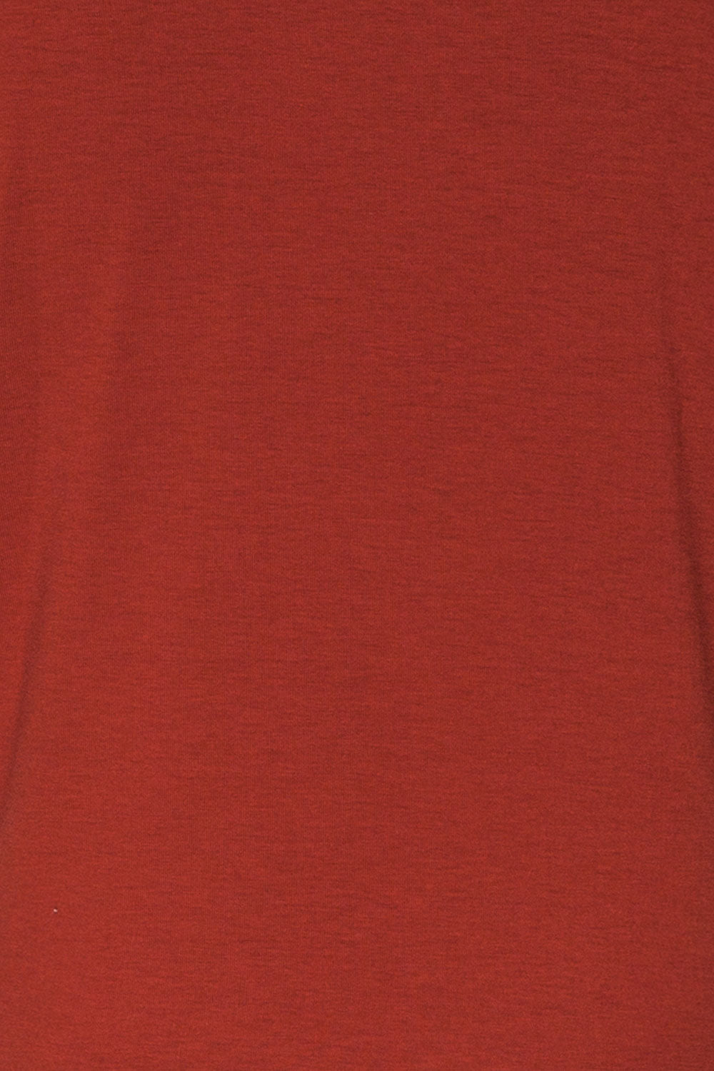 Delp Cognac Red Soft Cropped T-Shirt | La Petite Garçonne 8