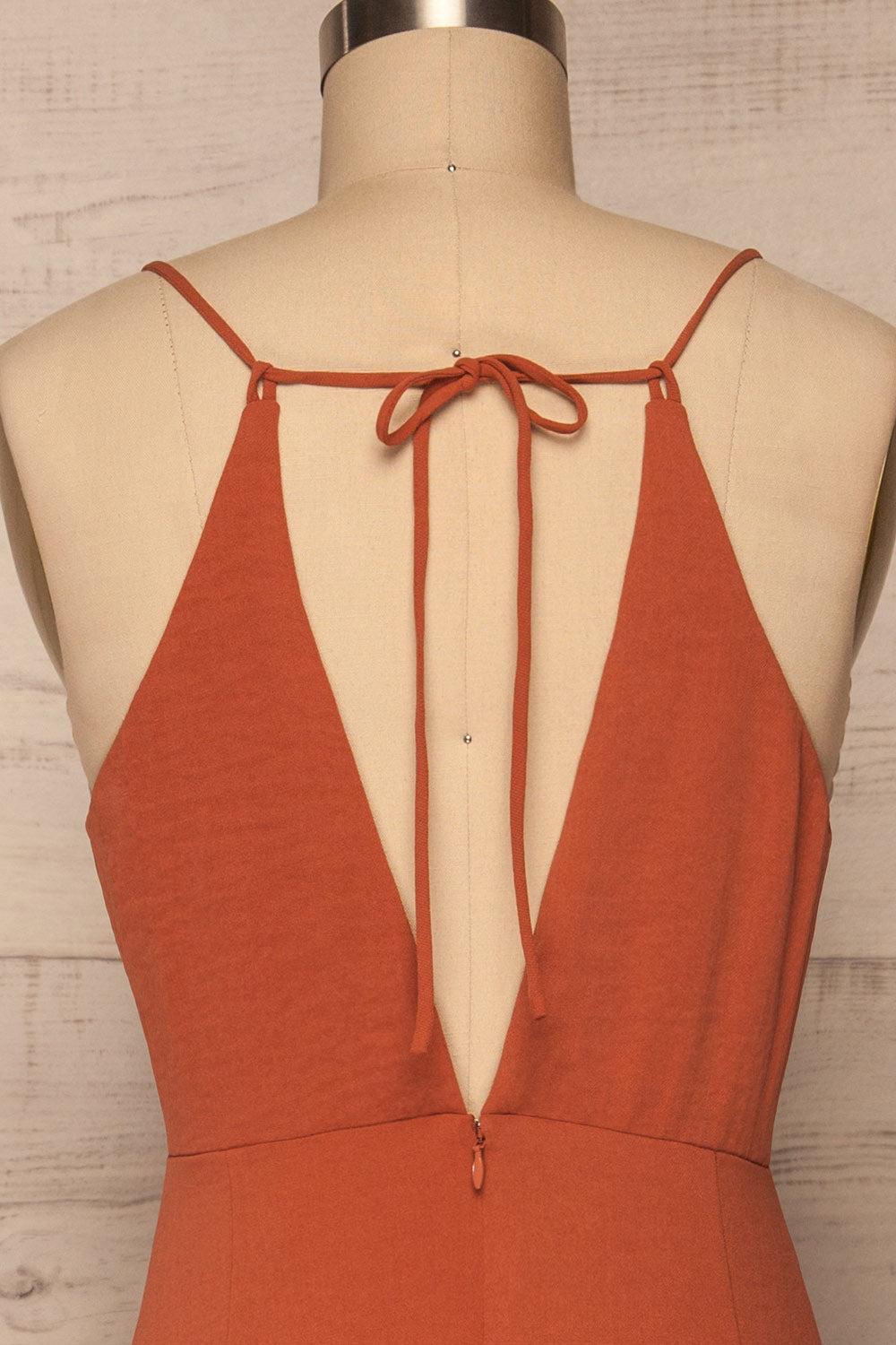 Delphi Clay Rust Orange Midi Dress | La petite garçonne back close up