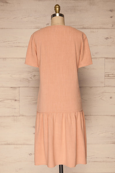 Demetria Pink Short Sleeve Button-Up Dress | La petite garçonne  back view