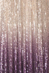Emerentine Ombre Sequin Gown | Robe longue fabric close up | Boutique 1861