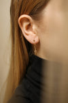 Euphyllia | Gold Hoop Earrings