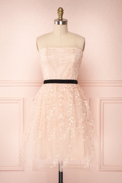 Fanely Blush Bustier Embroidered Mesh Party Dress | Boutique 1861