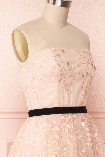 Fanely Blush | Pink Embroidered Dress